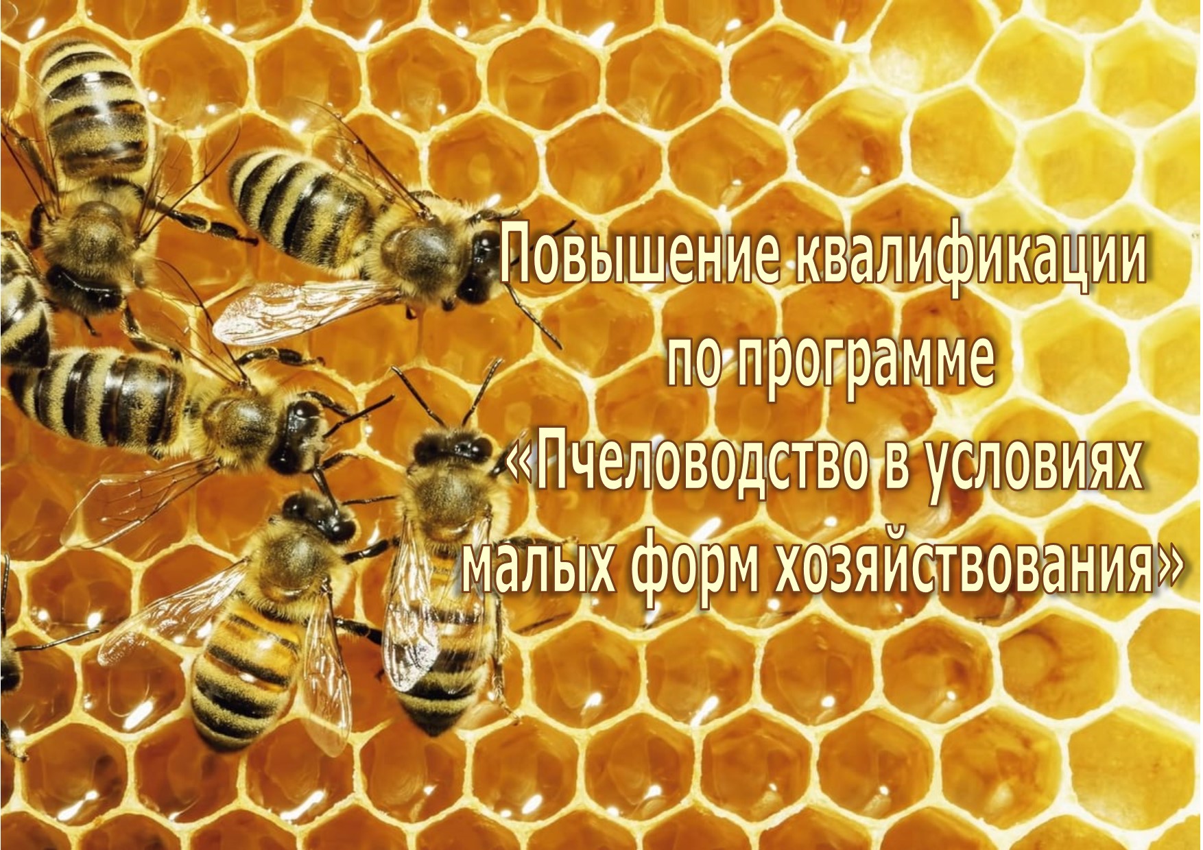О повышении квалификации по программе «Пчеловодство в условиях малых форм хозяйствования».