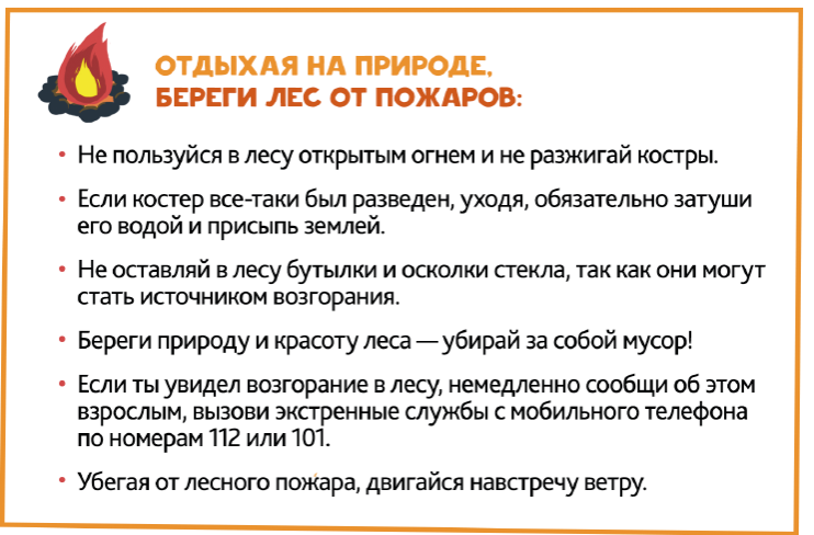 Береги лес от пожаров