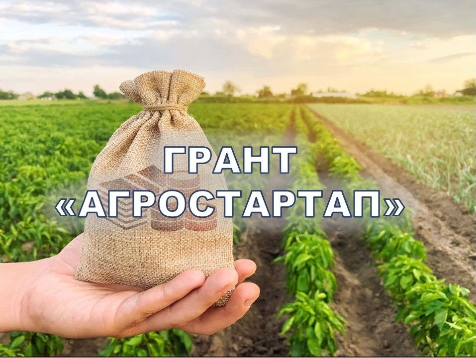 Открыт отбор по предоставлению грантов "Агростартап"