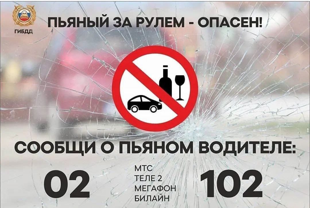 Сообщить о нетрезвых водителях