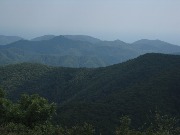 3670.jpg