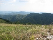 3671.jpg