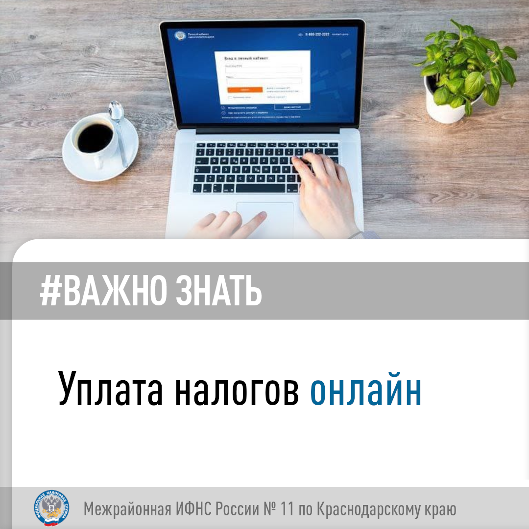 Несколько онлайн-способов уплаты имущественных налогов в 2024 году