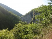 3649.jpg