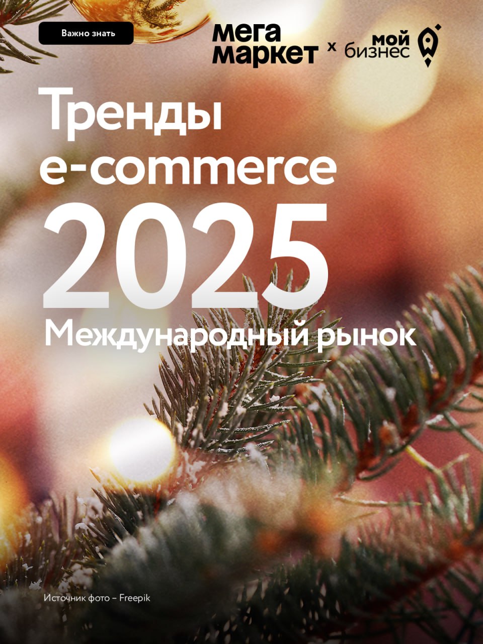 Что ждёт e-commerce в 2025 году на международном рынке?