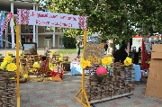IMG_6993.JPG