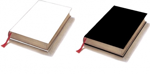 БЕЛАЯ И ЧЕРНАЯ КНИГИ ЗА 2020 ГОД